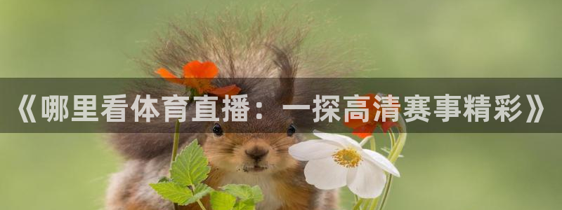 《哪里看体育直播：一探高清赛事精彩》